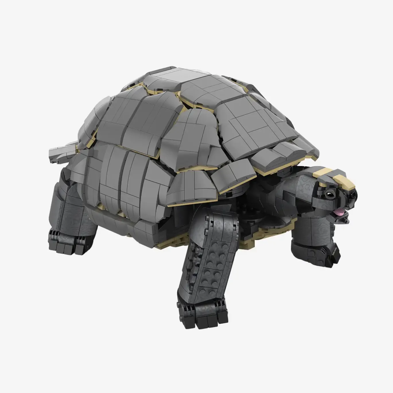 Aldabra-Riesenschildkröte