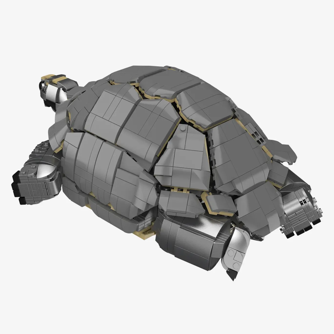 Aldabra-Riesenschildkröte