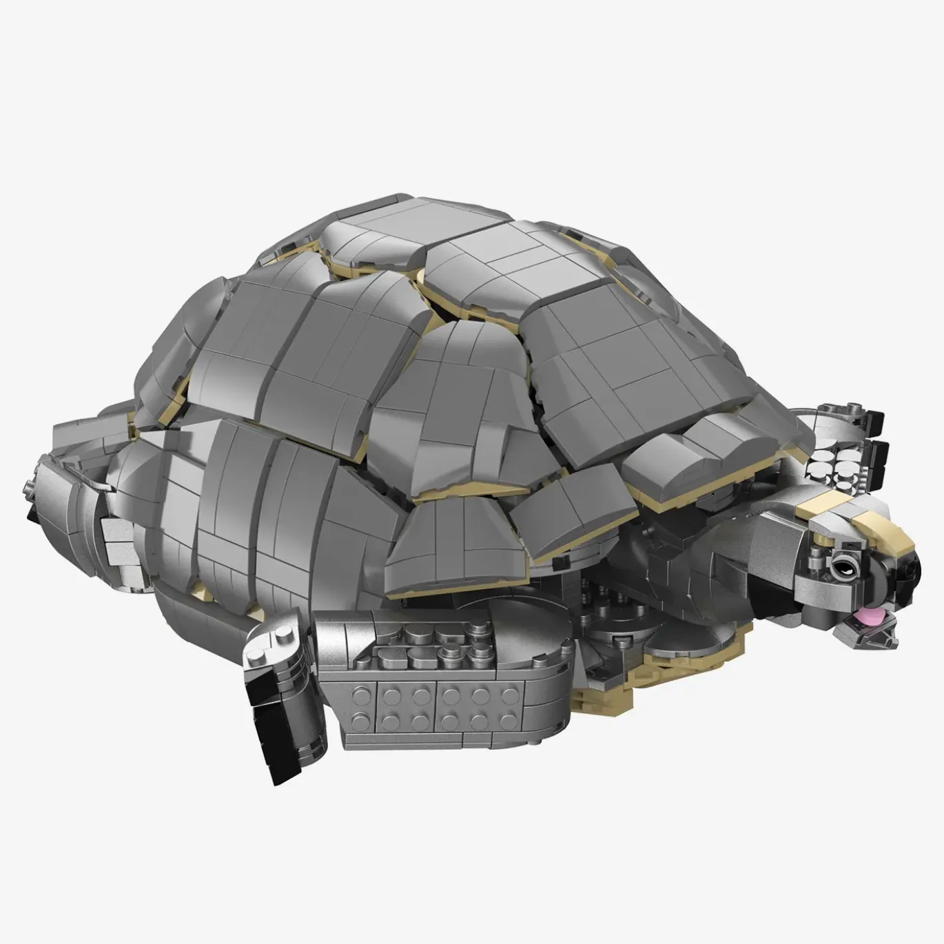 Aldabra-Riesenschildkröte