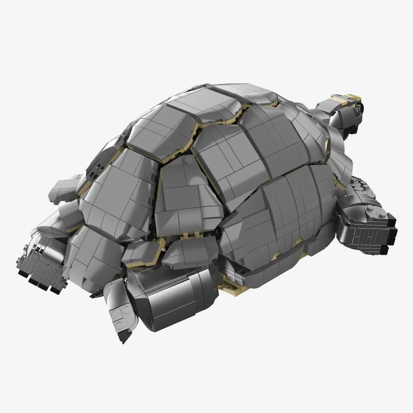 Aldabra-Riesenschildkröte