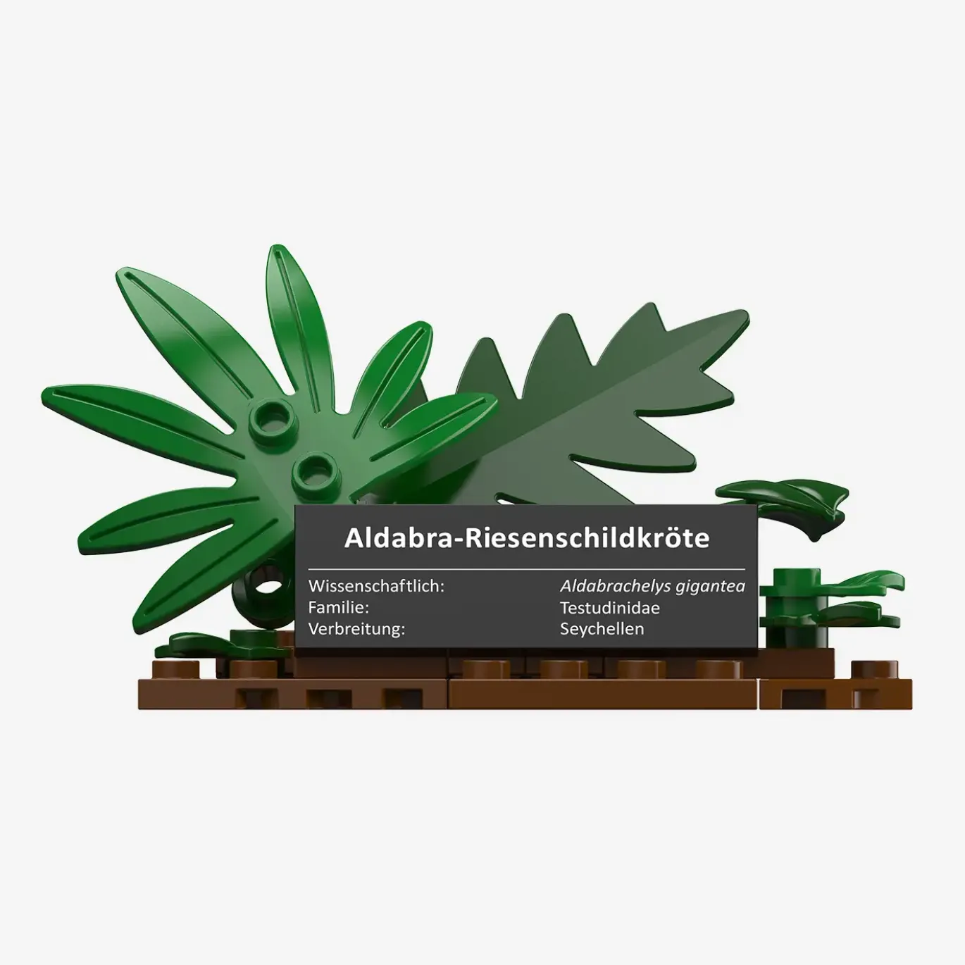 Aldabra-Riesenschildkröte