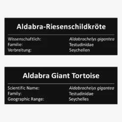 Aldabra-Riesenschildkröte