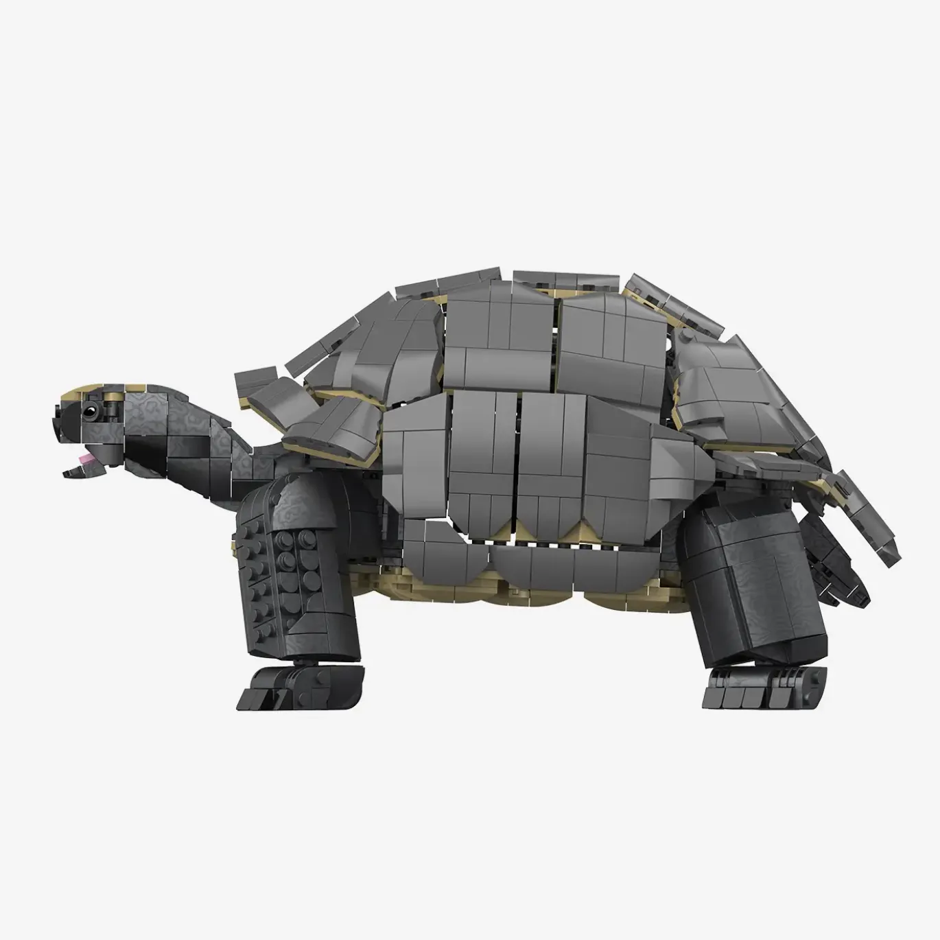 Aldabra-Riesenschildkröte