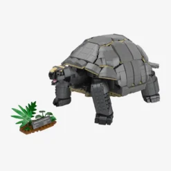 Aldabra-Riesenschildkröte