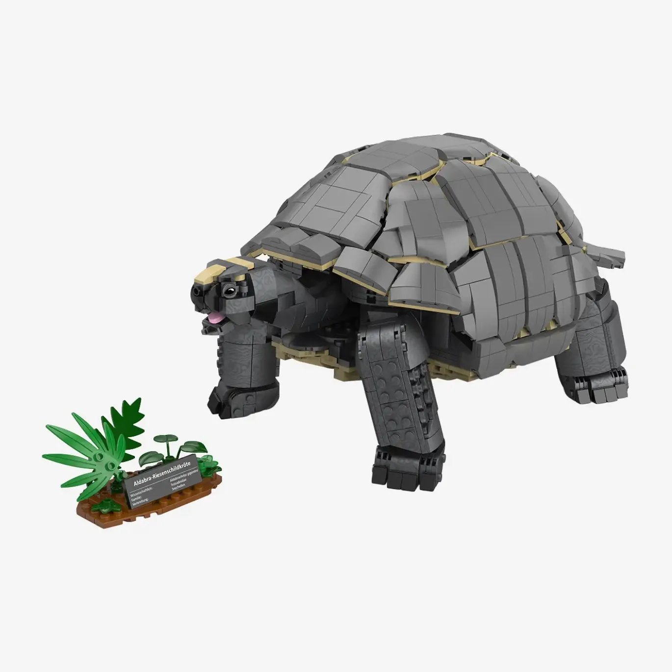 Aldabra-Riesenschildkröte