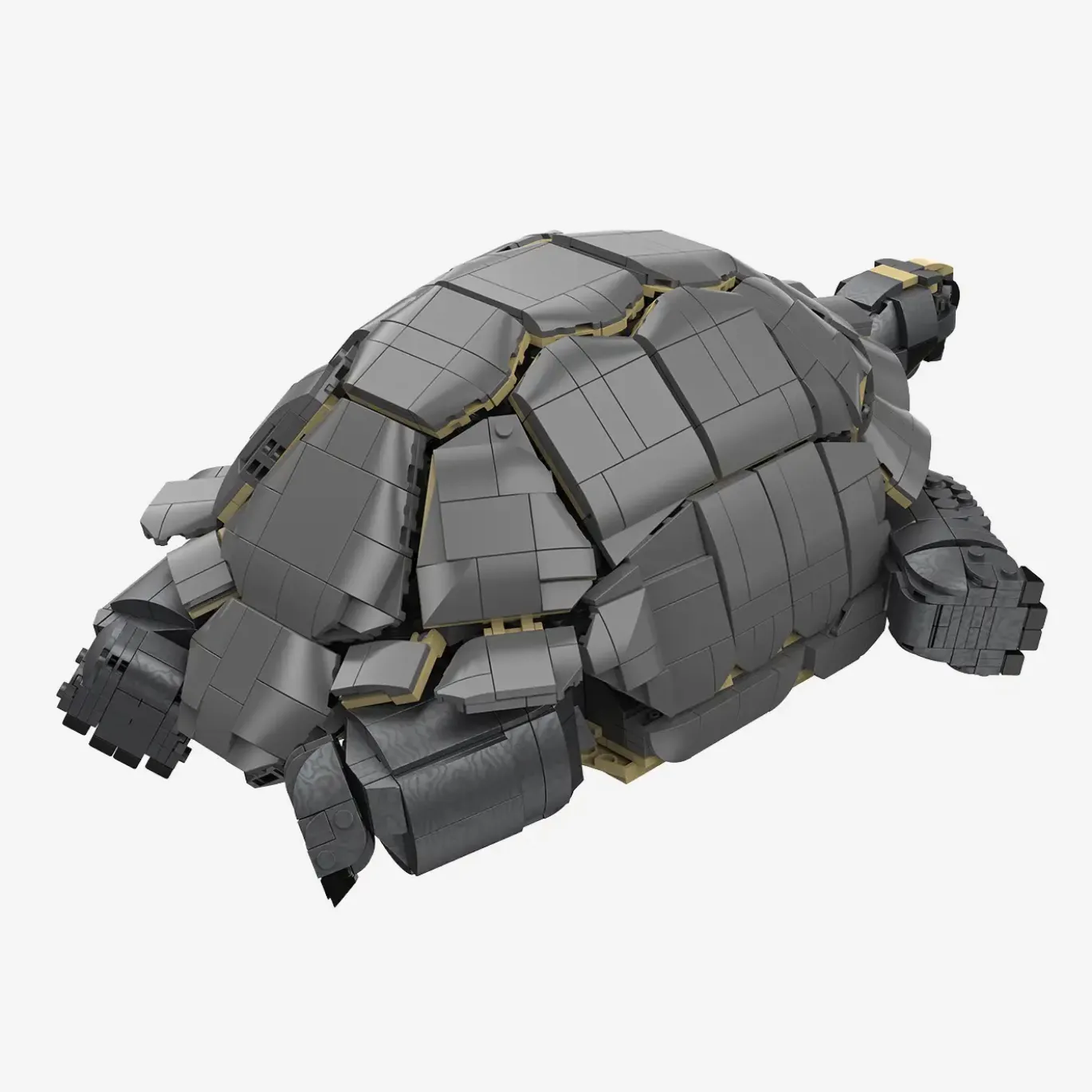 Aldabra-Riesenschildkröte