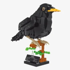 Amsel
