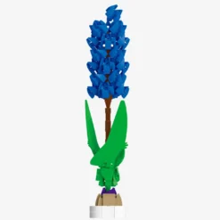Blaue Hyazinthe