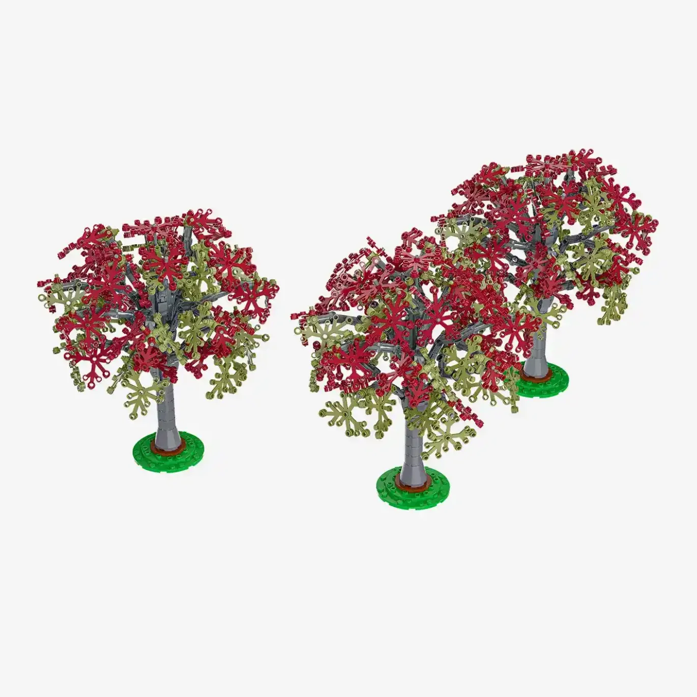 Buchen, 3er-Set