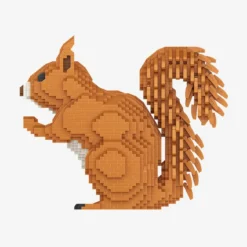 Eichhörnchen