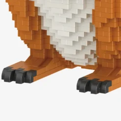 Eichhörnchen