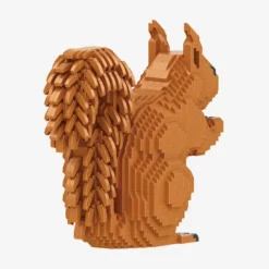 Eichhörnchen