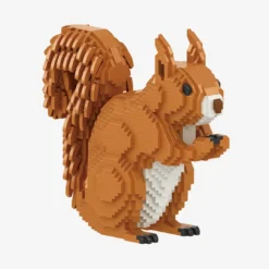 Eichhörnchen