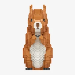 Eichhörnchen