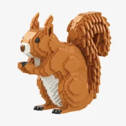 Eichhörnchen