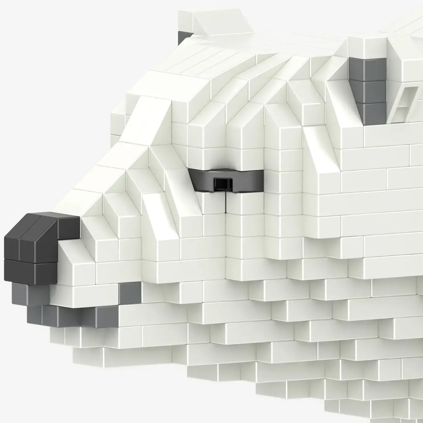 Eisbär