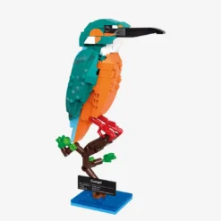 Eisvogel