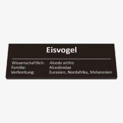 Eisvogel