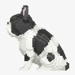 Französische Bulldogge