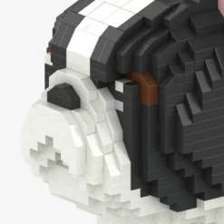 Französische Bulldogge