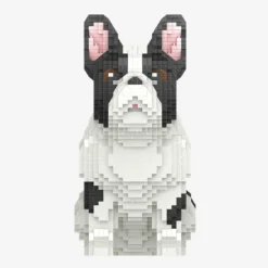 Französische Bulldogge