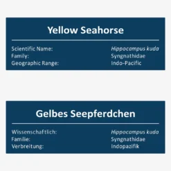Gelbe Seepferdchen
