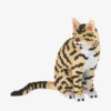 Getigerte Katze (diamond blocks)