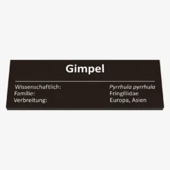Gimpel