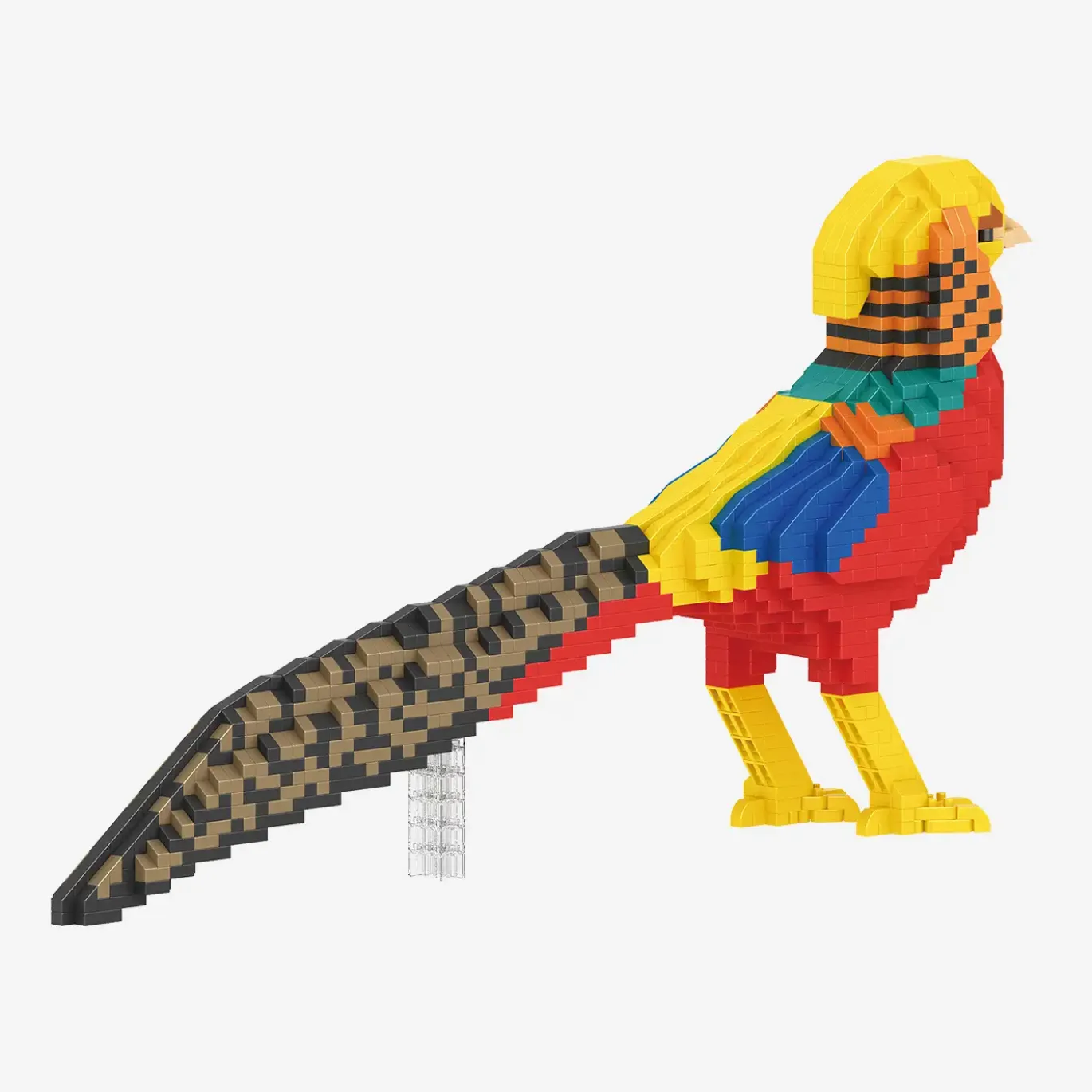 Goldfasan
