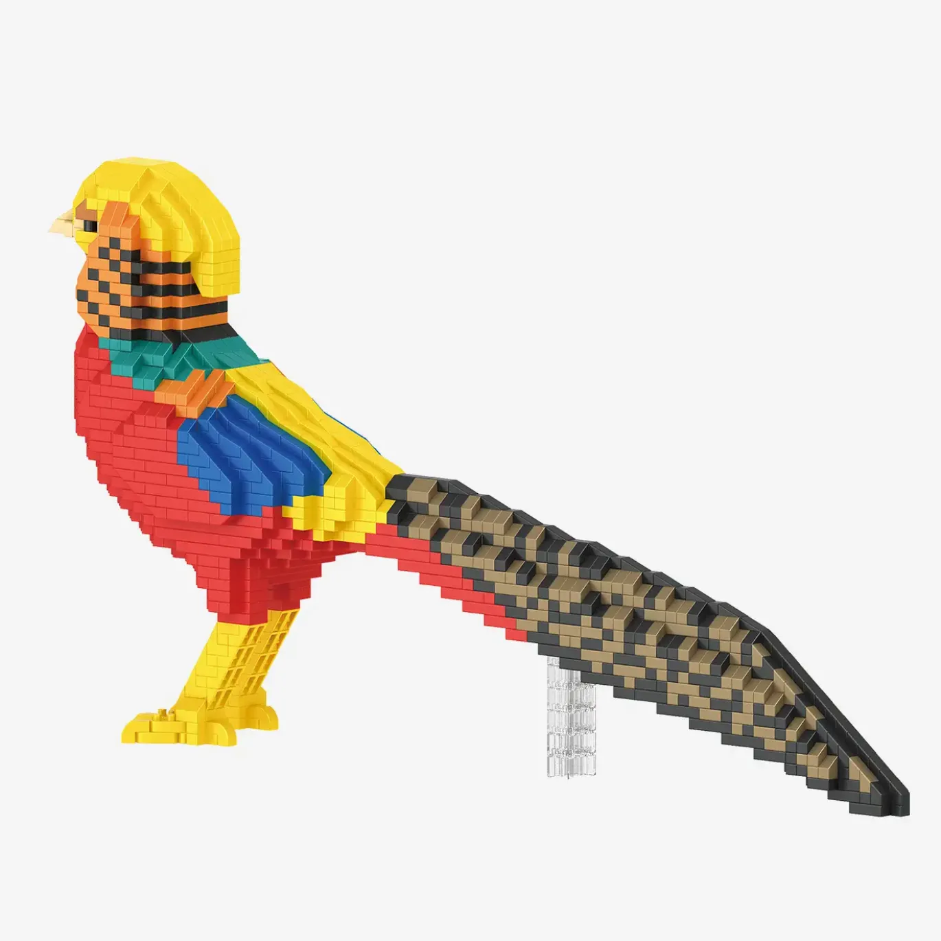 Goldfasan