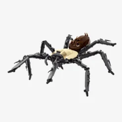 Goldrückenvogelspinne