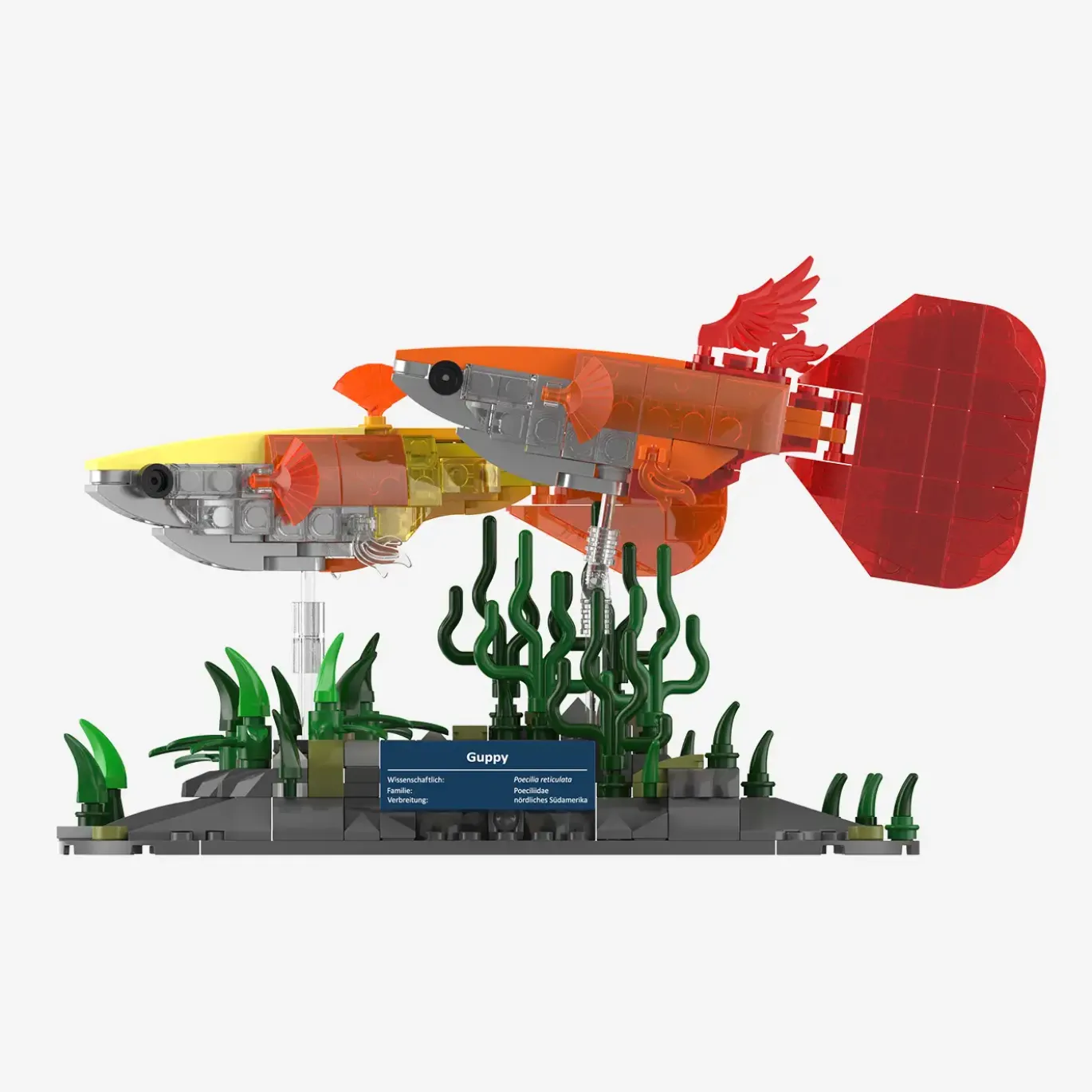 Guppy
