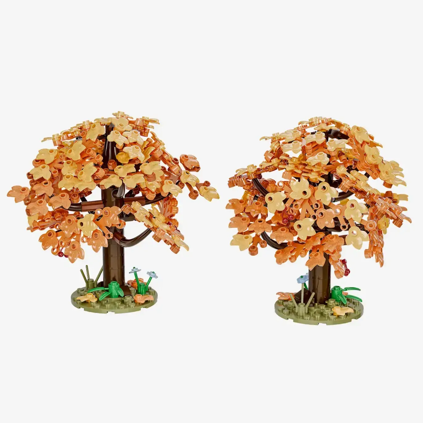 Kirschbäume im Herbst, 2er-Set