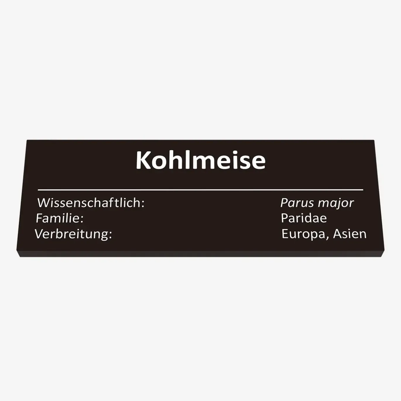 Kohlmeise