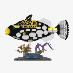 Leopard-Drückerfisch
