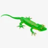 Madagaskar-Taggecko