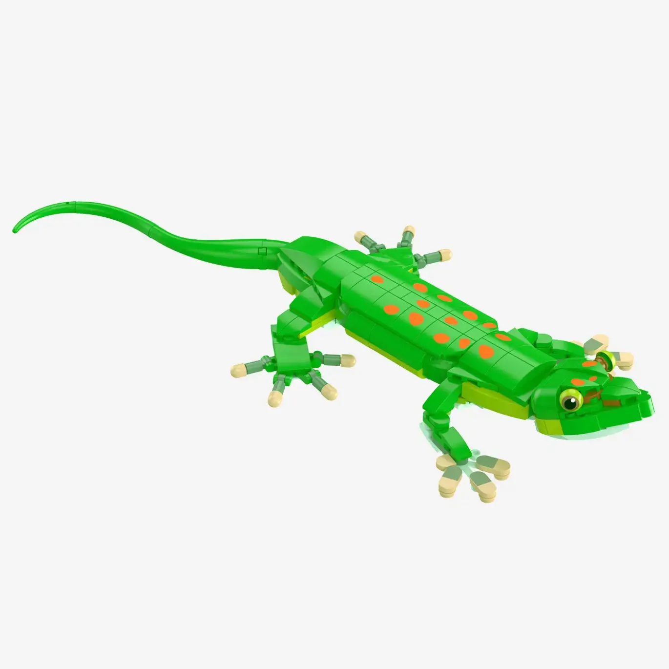 Madagaskar-Taggecko