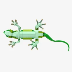 Madagaskar-Taggecko