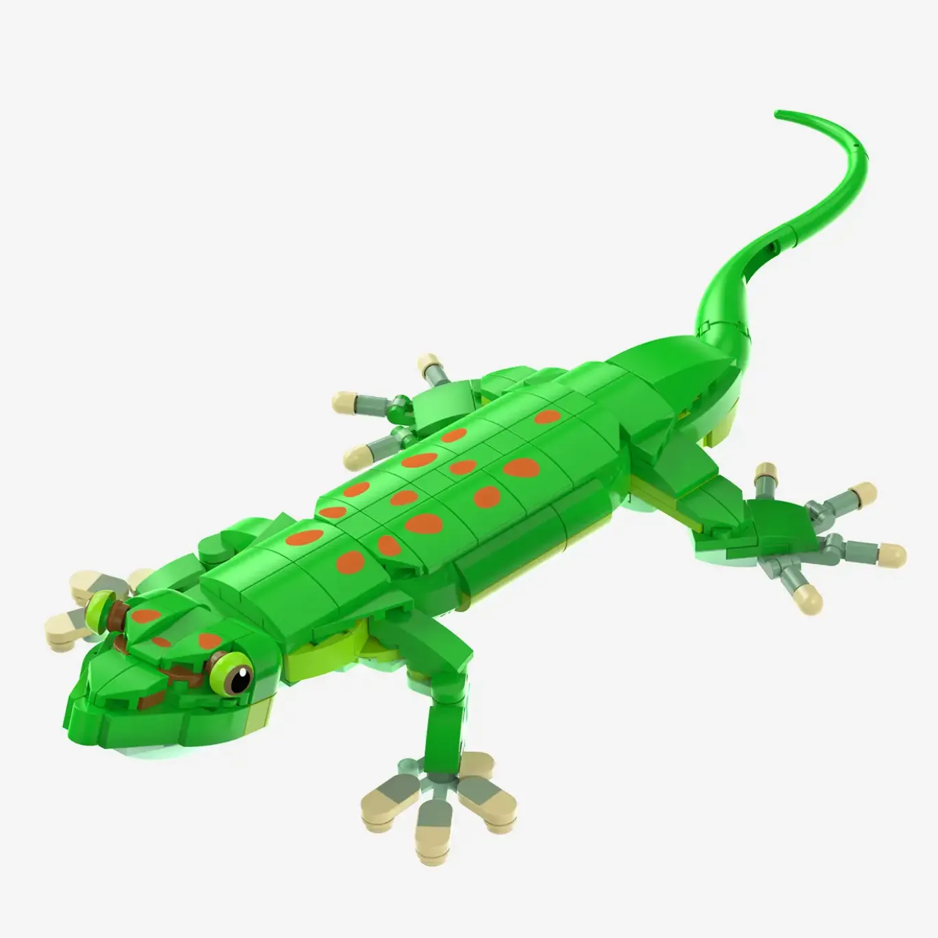 Madagaskar-Taggecko
