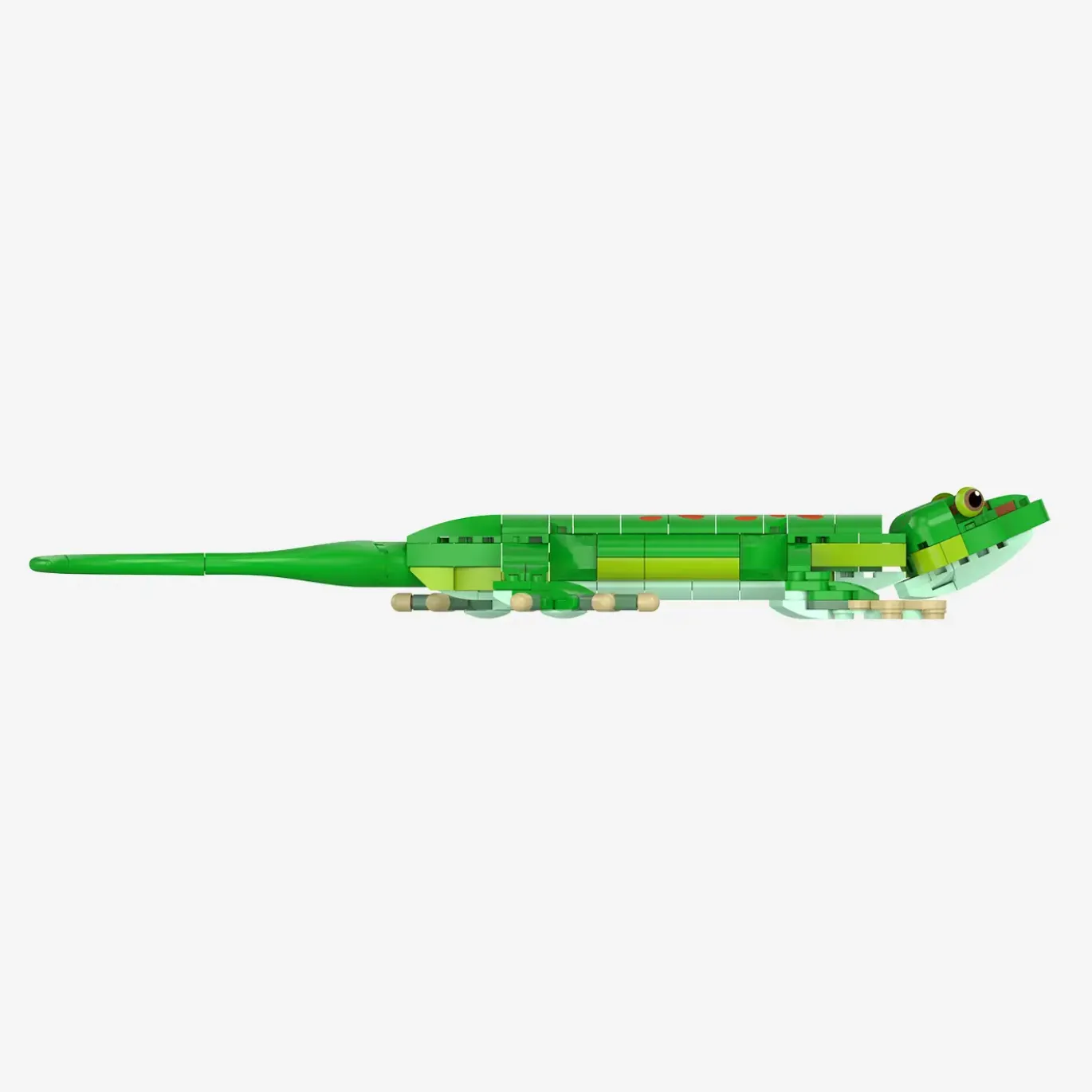 Madagaskar-Taggecko