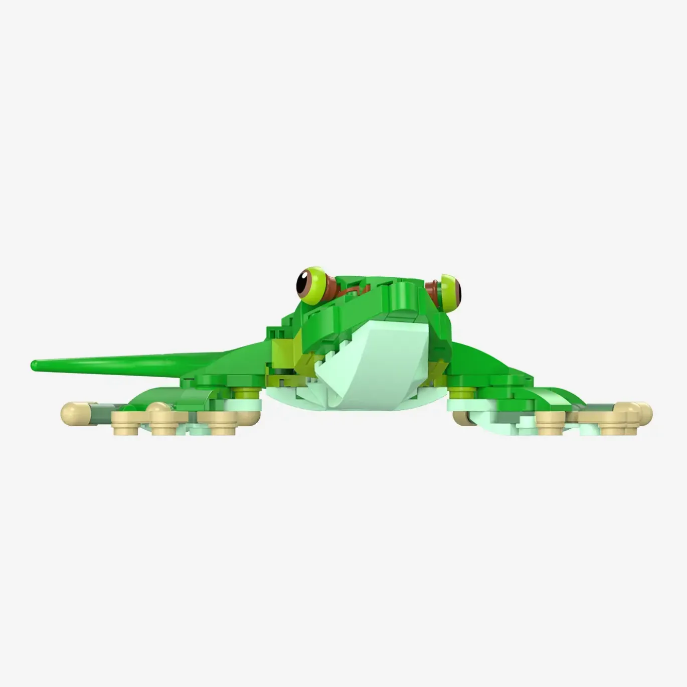 Madagaskar-Taggecko