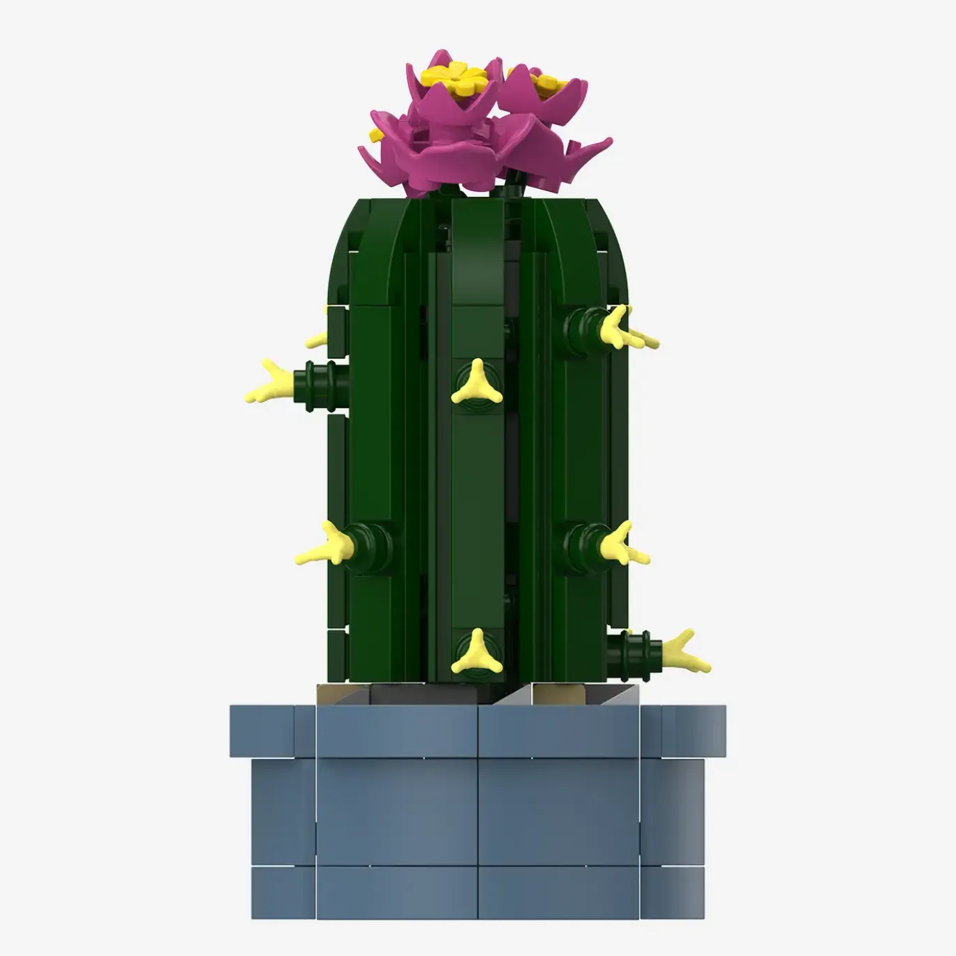 Mini-Säulenkaktus mit rosa Blüten