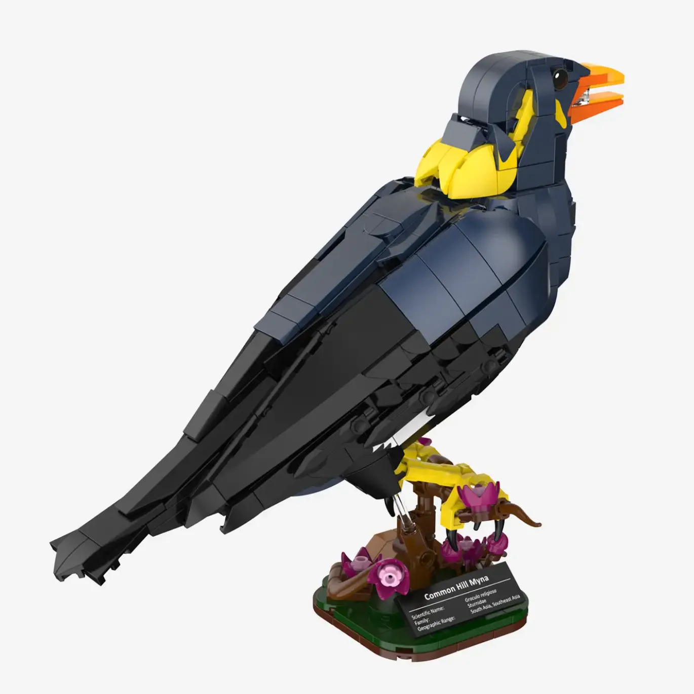 Mynah