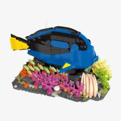 Paletten-Doktorfisch