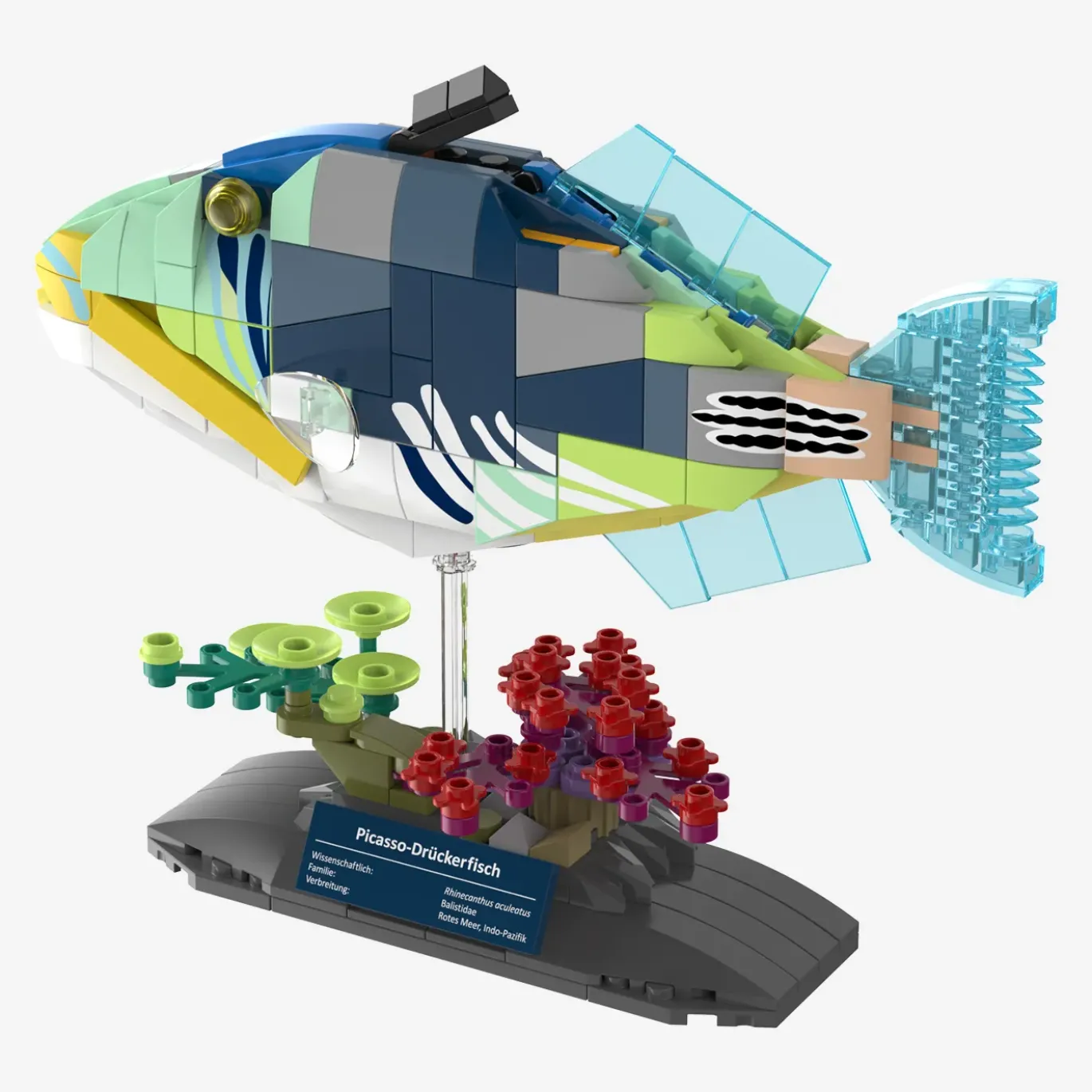 Picasso-Drückerfisch