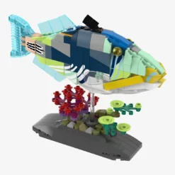 Picasso-Drückerfisch