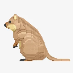 Quokka
