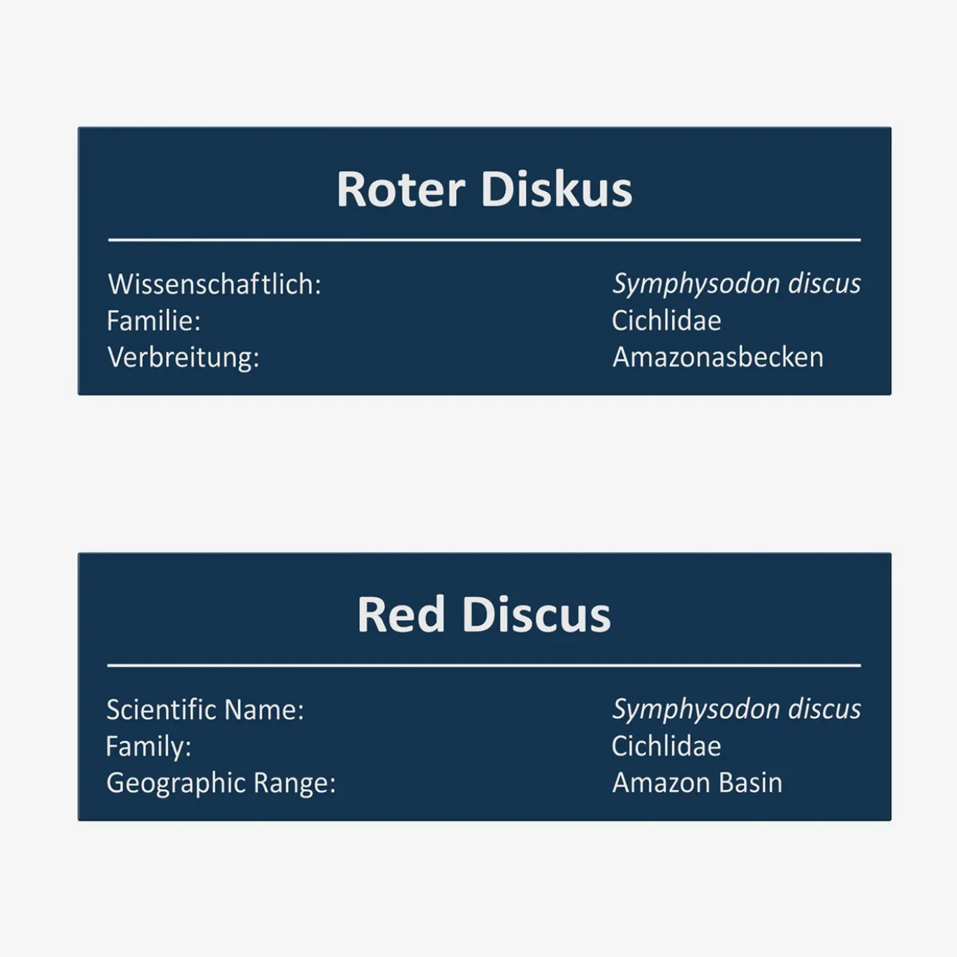 Roter Diskus