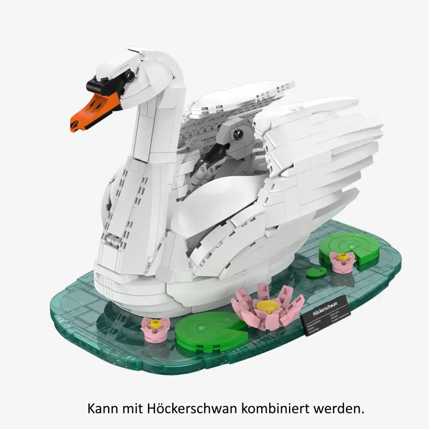 Schwanenküken