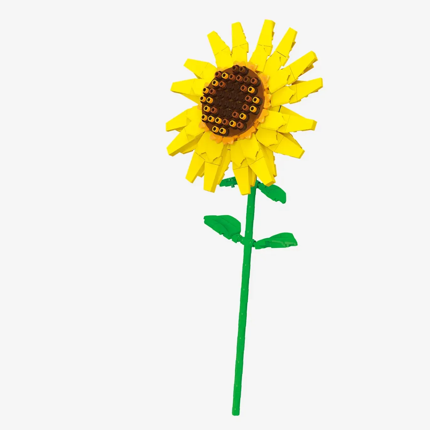 Sonnenblume